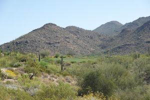 Dove Mountain (Wild Burro) 3rd